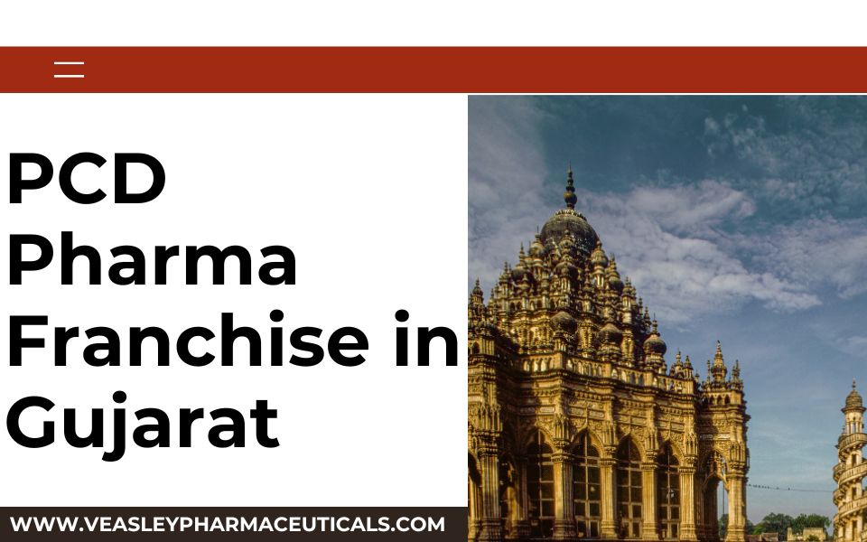 PCD Pharma Franchise in Gujarat