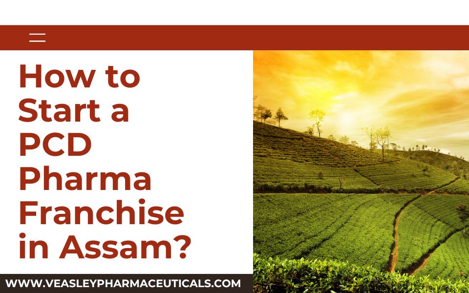 How to Start a PCD Pharma Franchise in Assam?