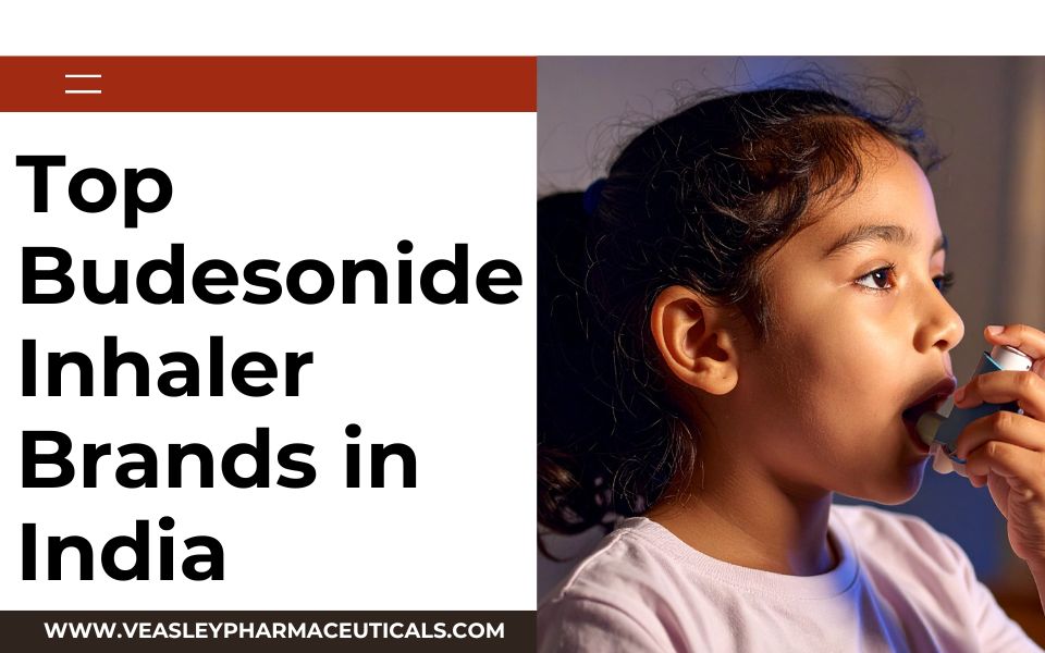 Top Budesonide Inhaler Brands in India