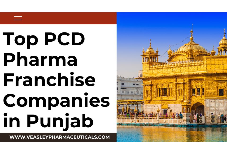 Top PCD Pharma Franchise Companies in Punjab
