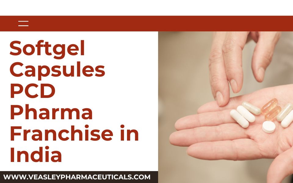 Softgel Capsules PCD Pharma Franchise in India
