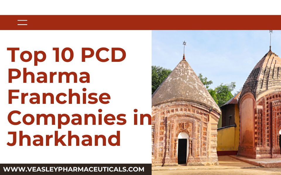 Top 10 PCD Pharma Franchise Companies in Jharkhand