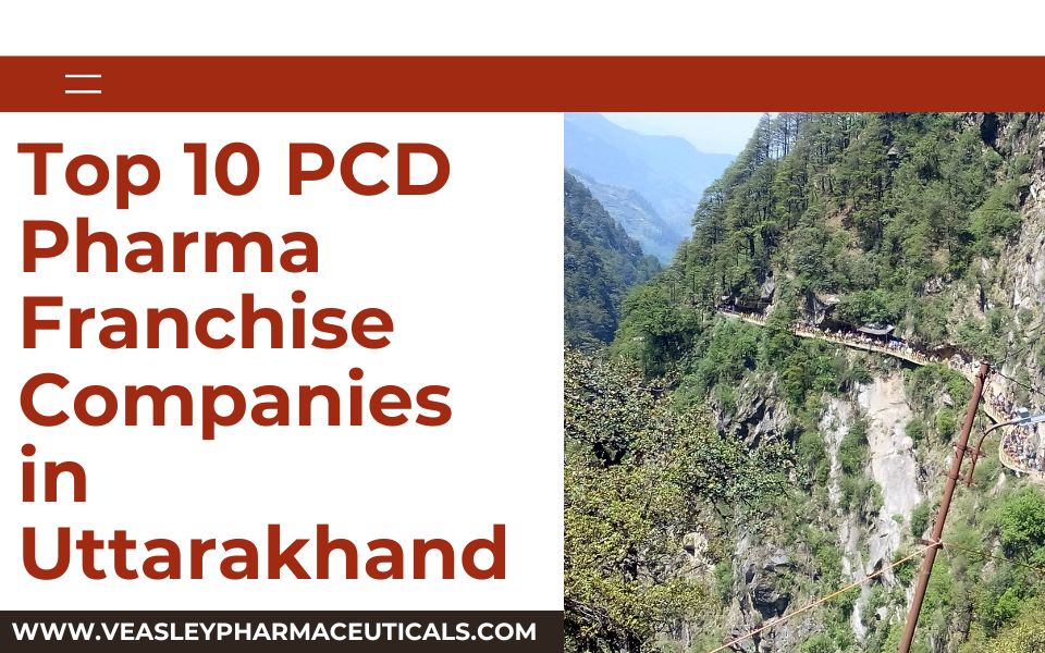 Top 10 PCD Pharma Franchise Companies in Uttarakhand