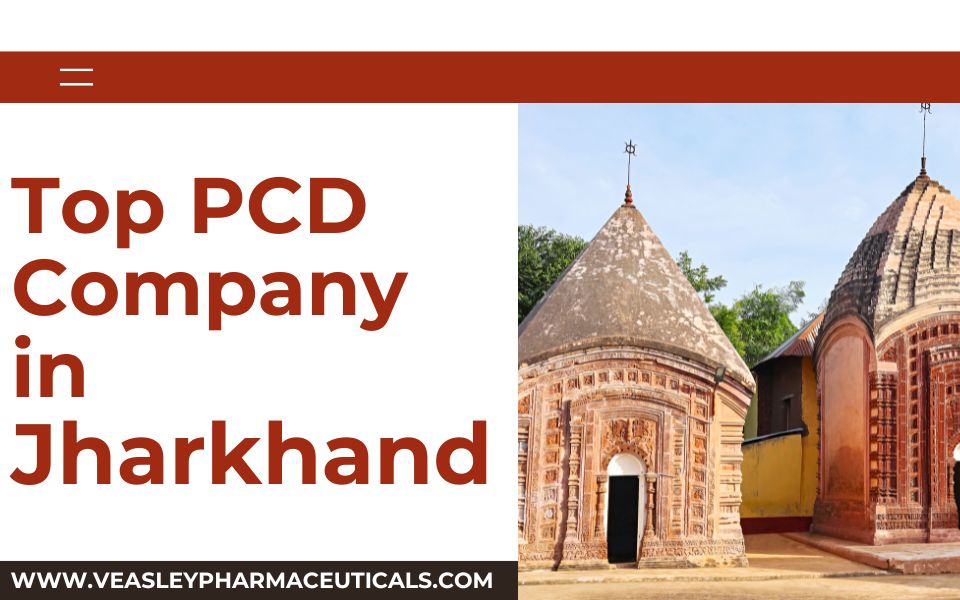 Top PCD Company in Jharkhand