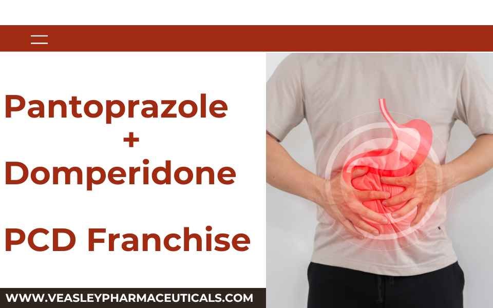 Pantoprazole + Domperidone Capsules for PCD Pharma Franchise